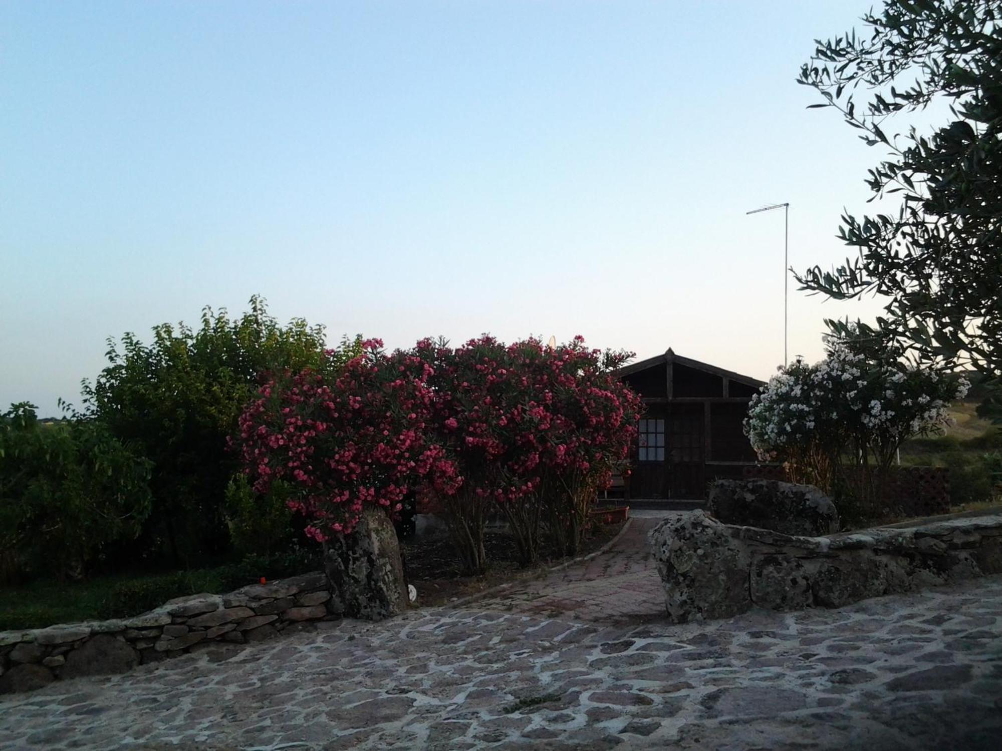 Agriturismo Su Recreu Ittiri الغرفة الصورة