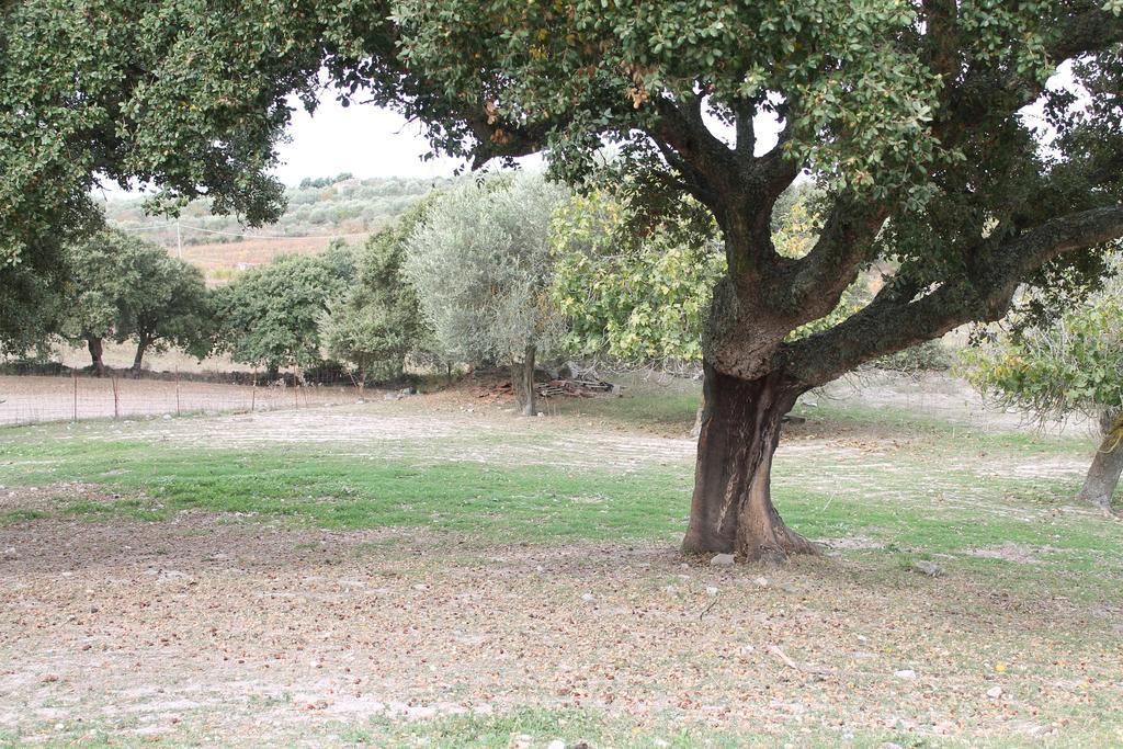 Agriturismo Su Recreu Ittiri المظهر الخارجي الصورة
