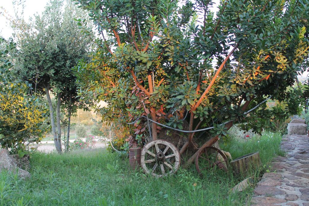 Agriturismo Su Recreu Ittiri المظهر الخارجي الصورة