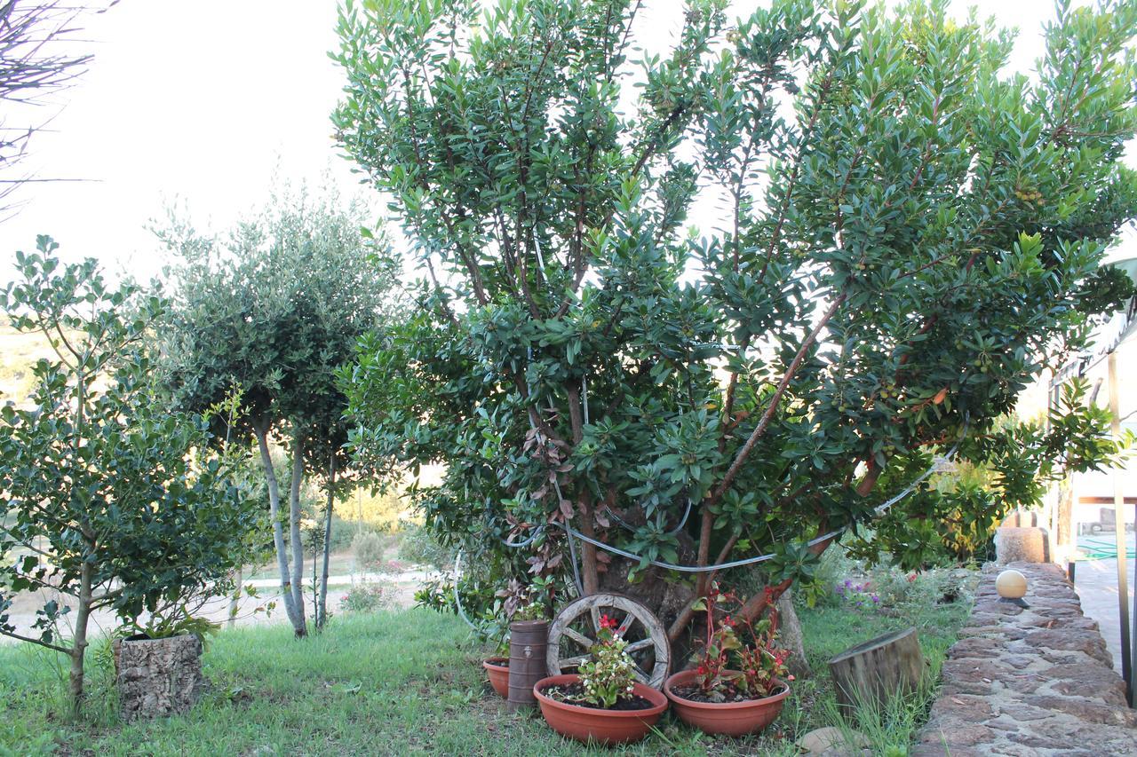Agriturismo Su Recreu Ittiri المظهر الخارجي الصورة