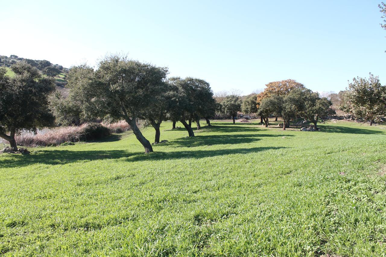 Agriturismo Su Recreu Ittiri المظهر الخارجي الصورة